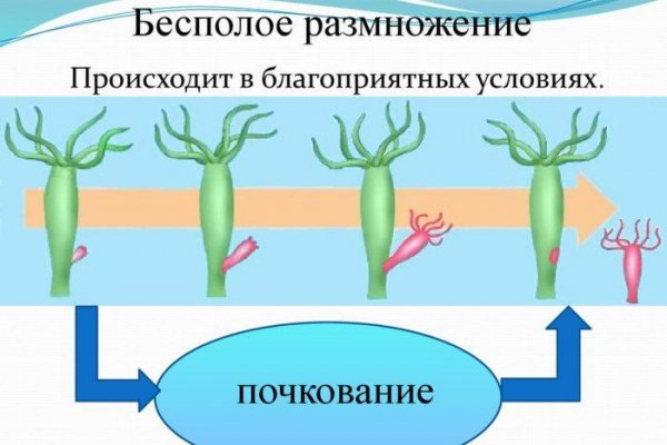 Маркет плейс кракен маркетплейс